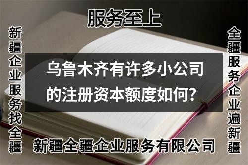 乌鲁木齐有许多小公司的注册资本额度如何？