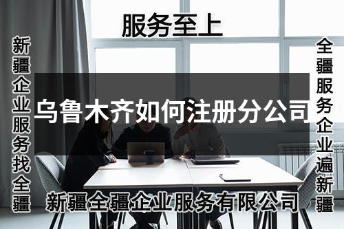 乌鲁木齐如何注册分公司