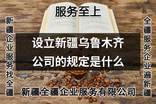 设立新疆乌鲁木齐公司的规定是什么