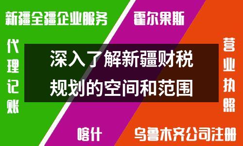 深入了解新疆财税规划的空间和范围