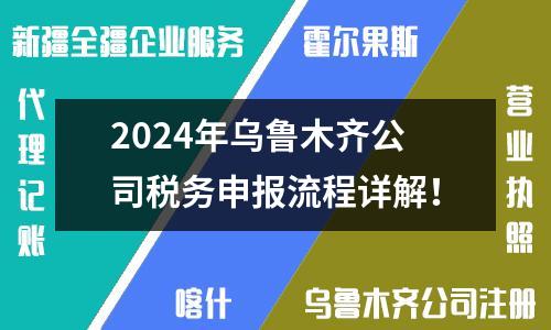 2024年乌鲁木齐公司税务申报流程详解！
