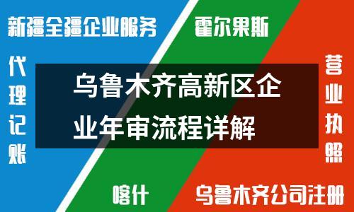 乌鲁木齐高新区企业年审流程详解