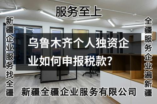 乌鲁木齐个人独资企业如何申报税款？