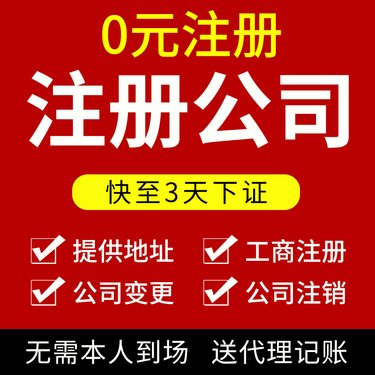 新疆乌鲁木齐分公司登记注册全攻略：类型与所需资料详解