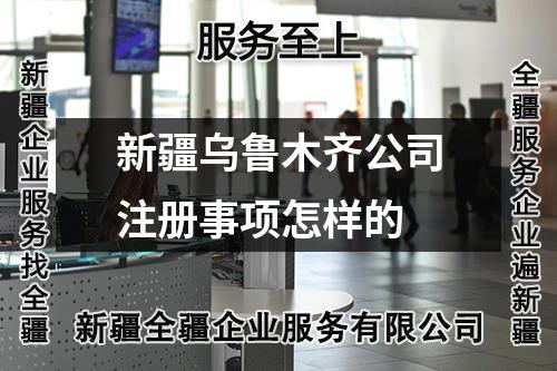 新疆乌鲁木齐公司注册事项怎样的