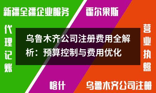 乌鲁木齐公司注册费用全解析：预算控制与费用优化
