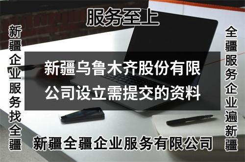 新疆乌鲁木齐股份有限公司设立需提交的资料