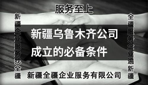 新疆乌鲁木齐公司成立的必备条件