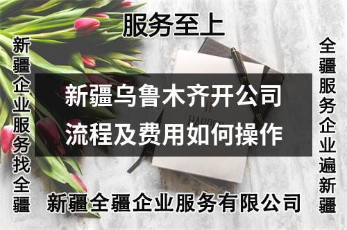 新疆乌鲁木齐开公司流程及费用如何操作