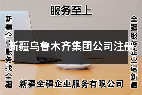 新疆乌鲁木齐集团公司注册