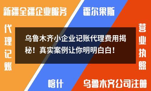 乌鲁木齐小企业记账代理费用揭秘！真实案例让你明明白白！