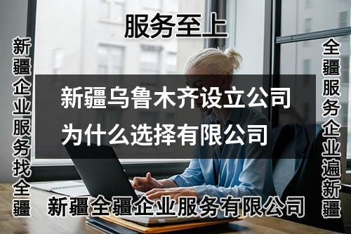 新疆乌鲁木齐设立公司为什么选择有限公司