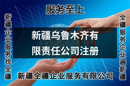 新疆乌鲁木齐有限责任公司注册