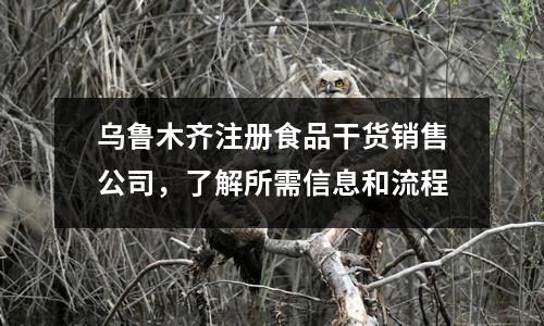 乌鲁木齐注册食品干货销售公司，了解所需信息和流程
