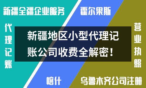 新疆地区小型代理记账公司收费全解密！