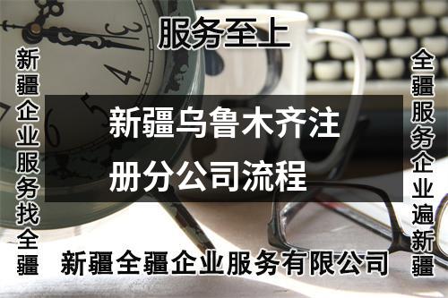 新疆乌鲁木齐注册分公司流程