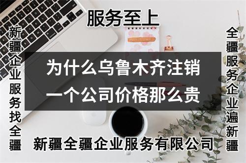为什么乌鲁木齐注销一个公司价格那么贵