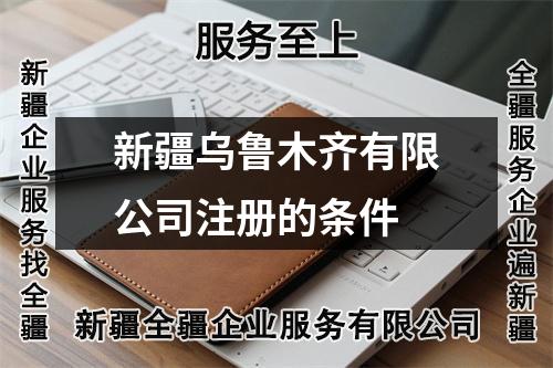 新疆乌鲁木齐有限公司注册的条件