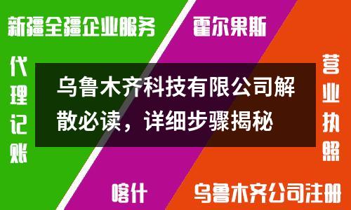 乌鲁木齐科技有限公司解散必读，详细步骤揭秘