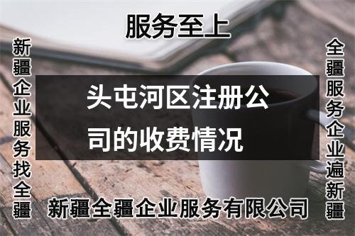 头屯河区注册公司的收费情况