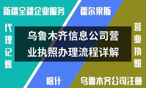 乌鲁木齐信息公司营业执照办理流程详解