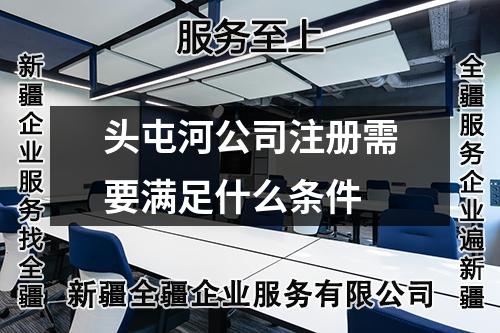 头屯河公司注册需要满足什么条件