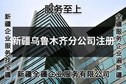 新疆乌鲁木齐分公司注册