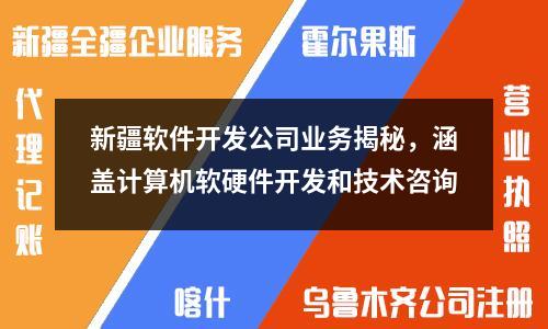 新疆软件开发公司业务揭秘，涵盖计算机软硬件开发和技术咨询
