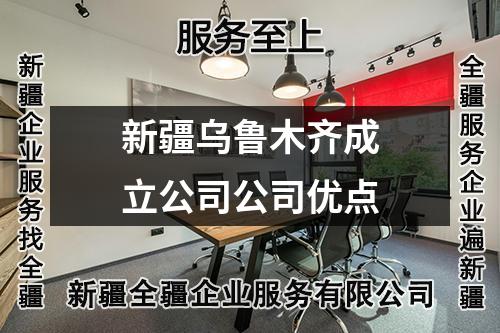 新疆乌鲁木齐成立公司公司优点