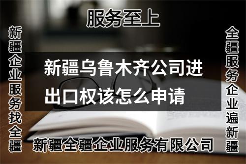 新疆乌鲁木齐公司进出口权该怎么申请
